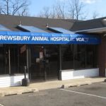Shrewsbury Animal Hospital