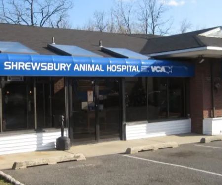Shrewsbury Animal Hospital