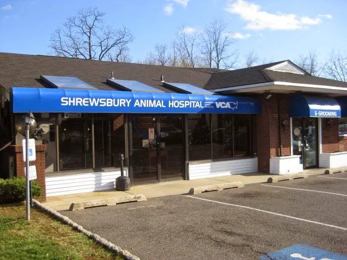 Shrewsbury Animal Hospital Picture 2