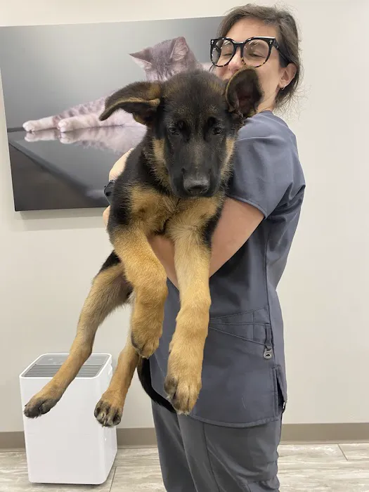 Shrewsbury Animal Hospital Picture 10