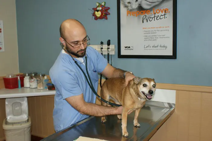 Shrewsbury Animal Hospital Picture 7