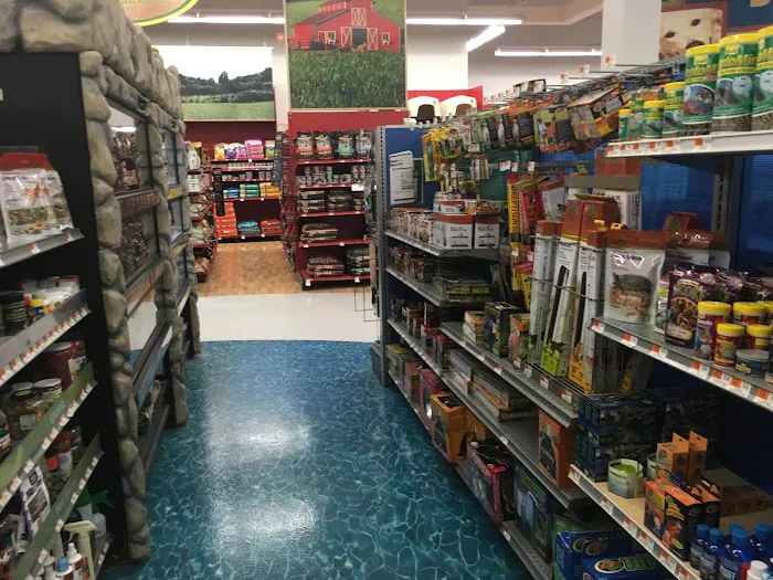 Petco Picture 3