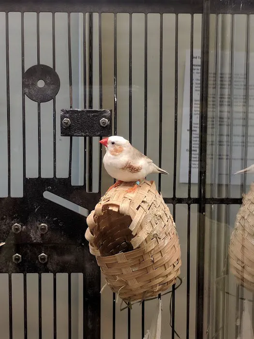 Petco Picture 1