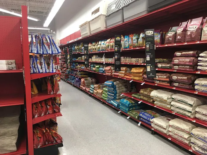 Petco Picture 9