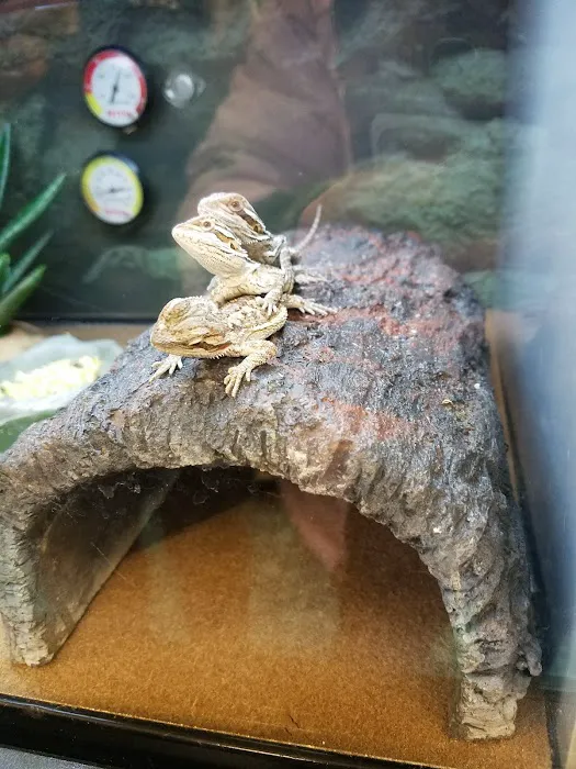 Petco Picture 6