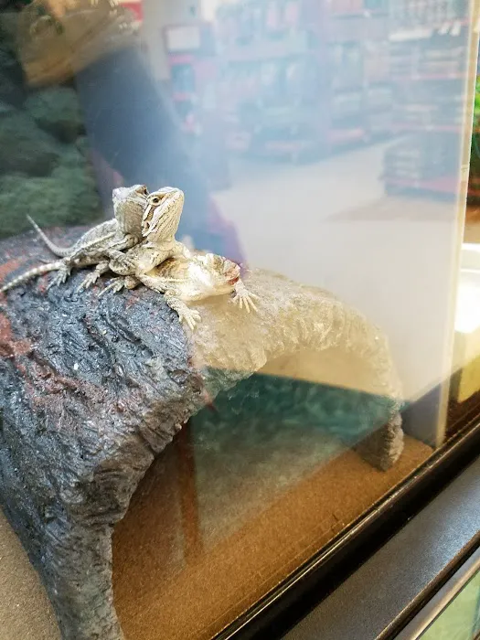 Petco Picture 8