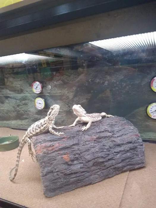 Petco Picture 10