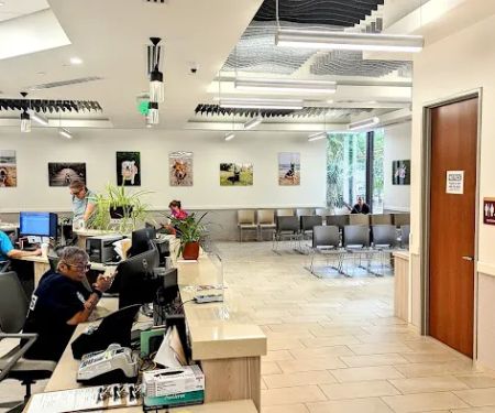 Garden State Veterinary Specialists Eatontown