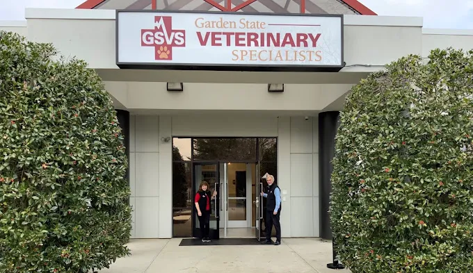 Garden State Veterinary Specialists Eatontown Picture 2