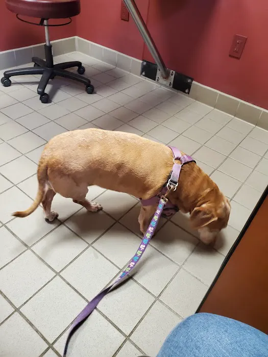 Garden State Veterinary Specialists Eatontown Picture 6