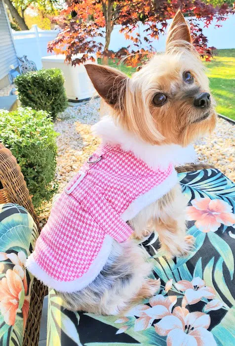 Garden State Veterinary Specialists Eatontown Picture 4