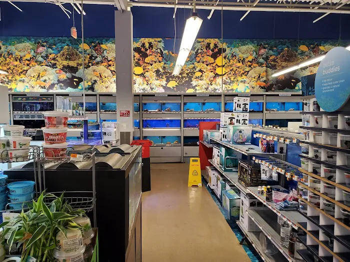 Petco Picture 2