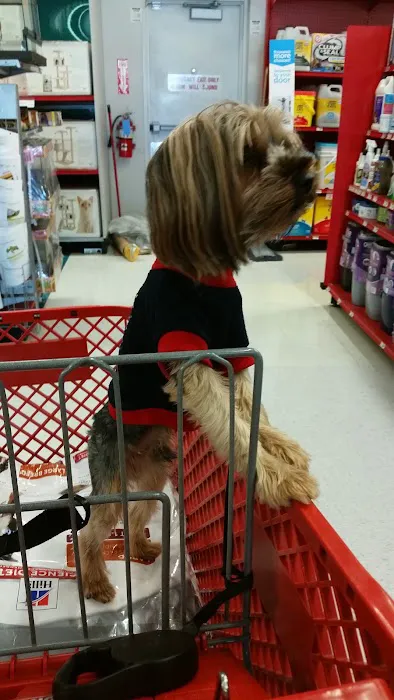 Petco Picture 4