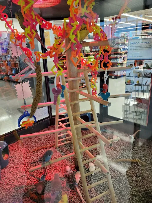 Petco Picture 6