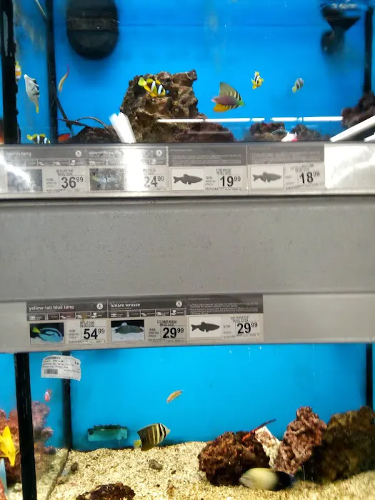 Petco Picture 7