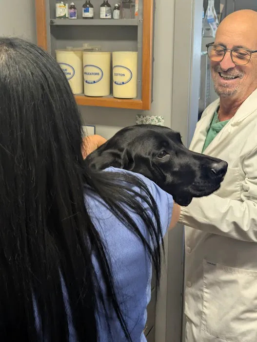 Neptune Animal Hospital Picture 4