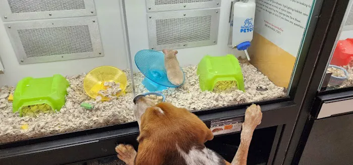 Petco Picture 4