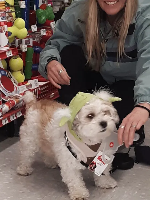 Petco Picture 10