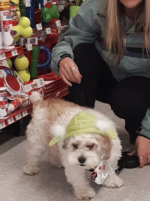 Petco Picture 9
