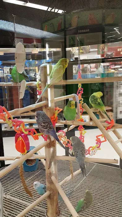 Petco Picture 2