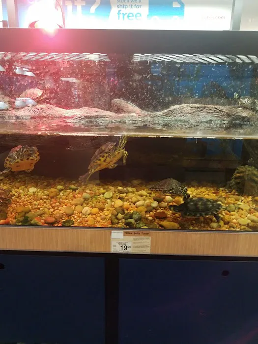 Petco Picture 3