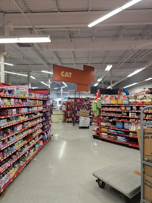 Petco Picture 4