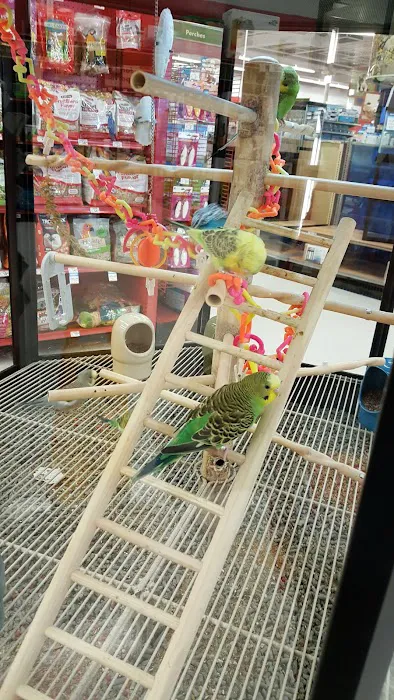 Petco Picture 6