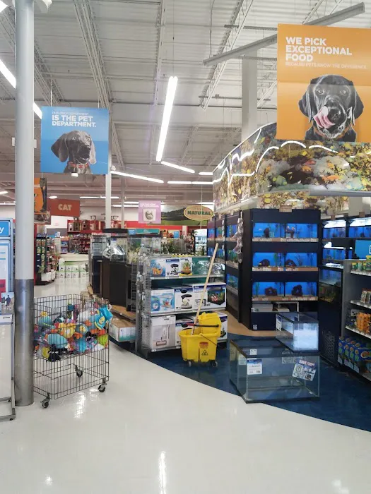 Petco Picture 7