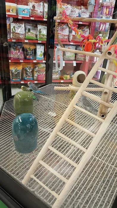 Petco Picture 9