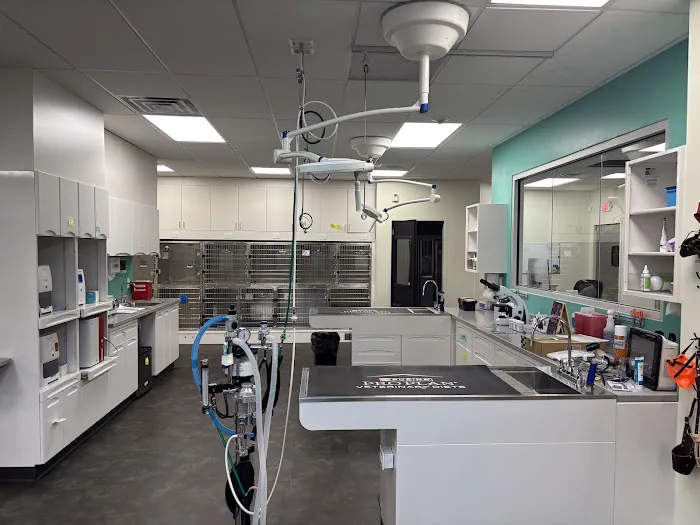 City By The Sea Veterinary Picture 3