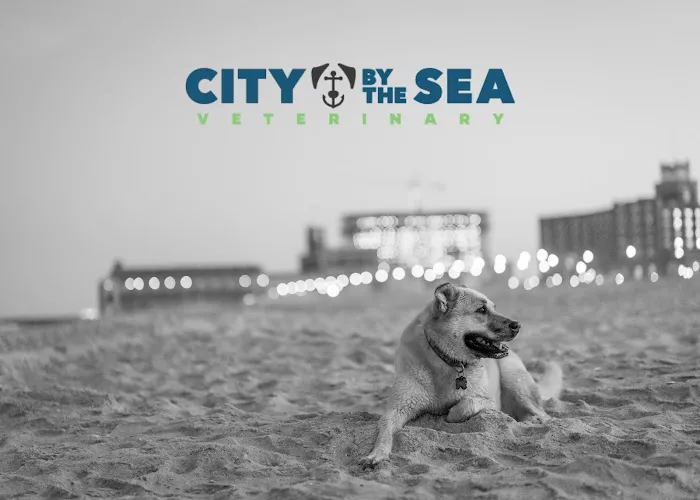City By The Sea Veterinary Picture 6