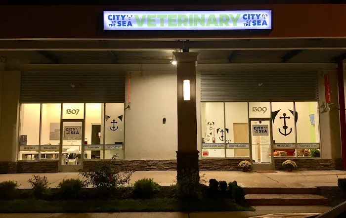 City By The Sea Veterinary Picture 9