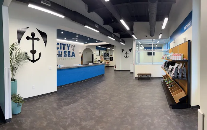 City By The Sea Veterinary Picture 7