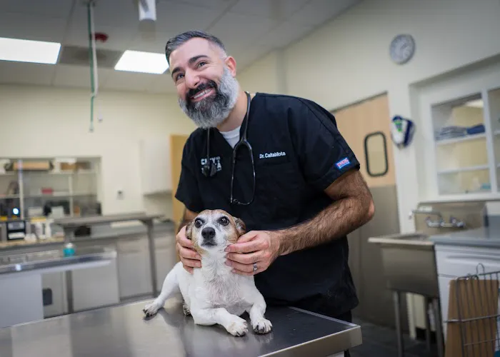 City By The Sea Veterinary Picture 8