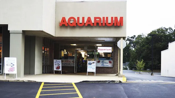 Beltway Aquarium Picture 3