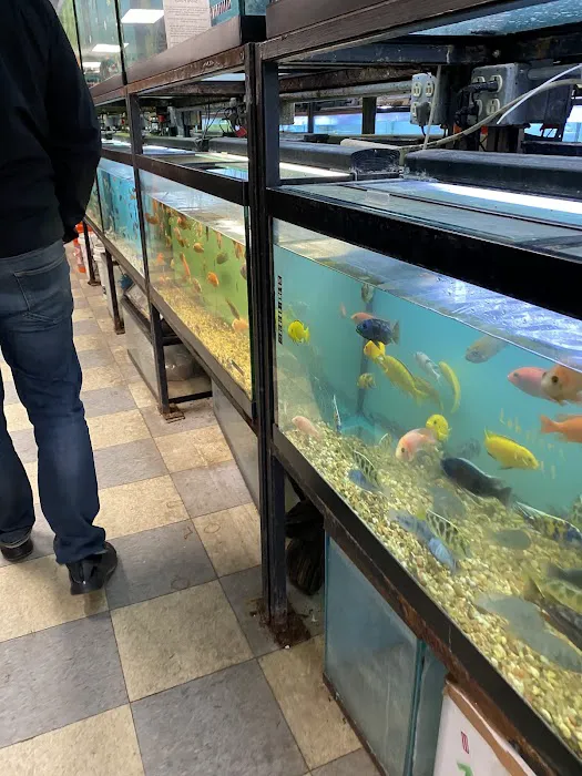 Beltway Aquarium Picture 1