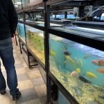 Beltway Aquarium