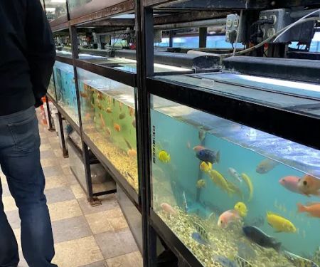 Beltway Aquarium