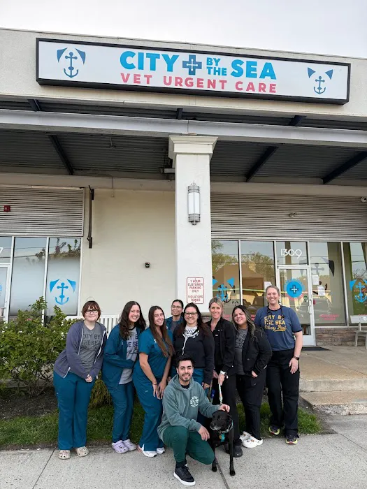 City by the Sea Vet Urgent Care Picture 1