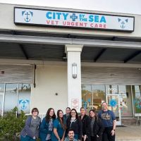 City by the Sea Vet Urgent Care ico