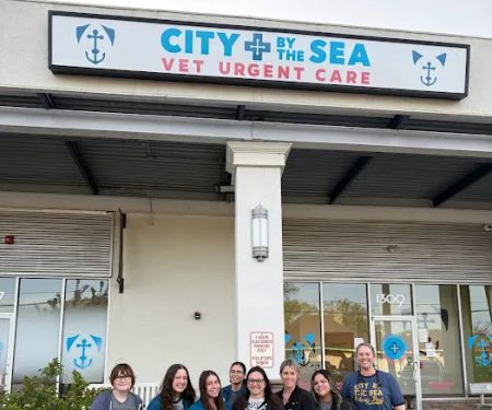 City by the Sea Vet Urgent Care