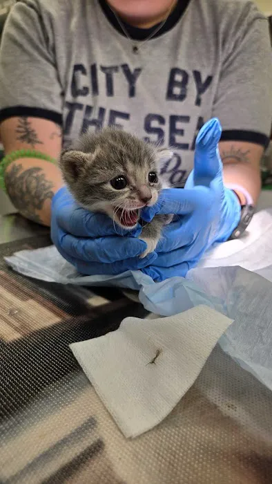 City by the Sea Vet Urgent Care Picture 10