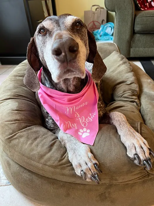 Pampered Pet Boutique and Barkery Picture 5