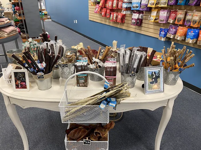 Pampered Pet Boutique and Barkery Picture 8