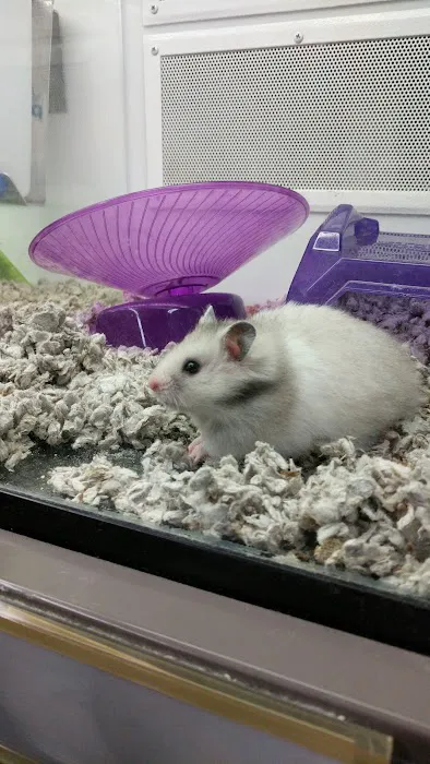 Petco Picture 3