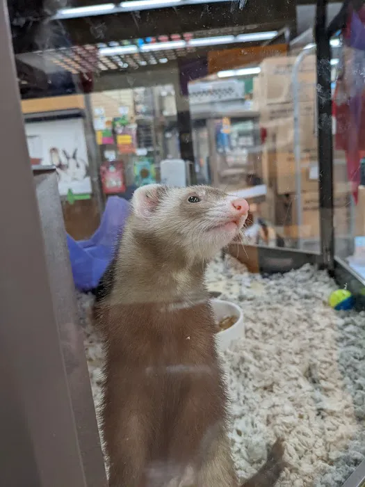 Petco Picture 4