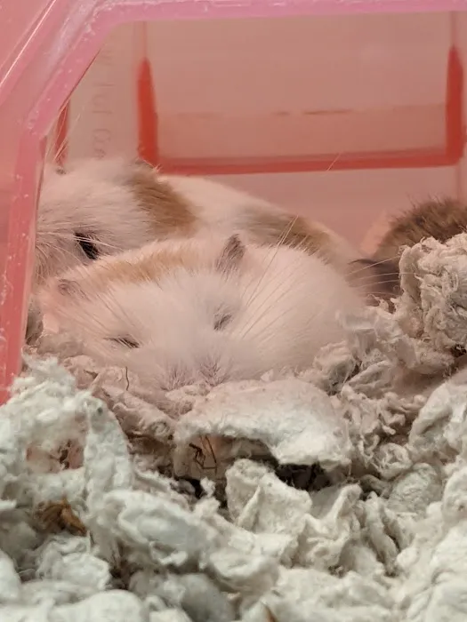 Petco Picture 8