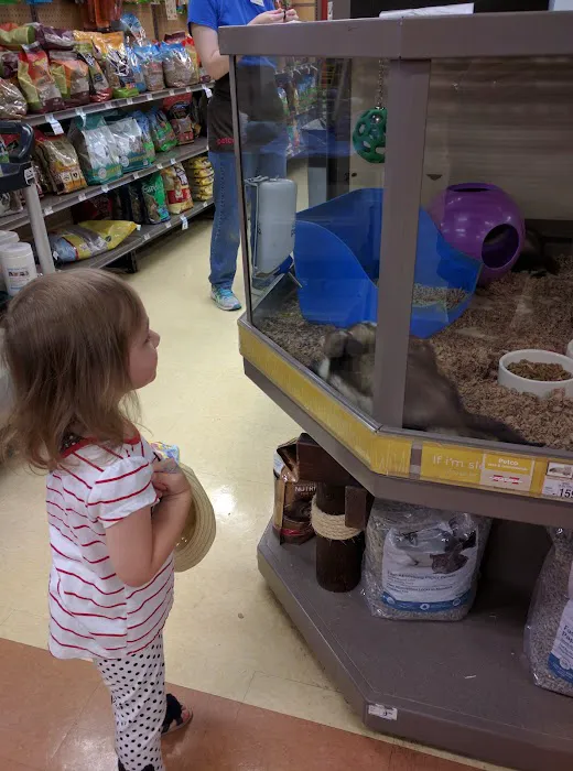 Petco Picture 9
