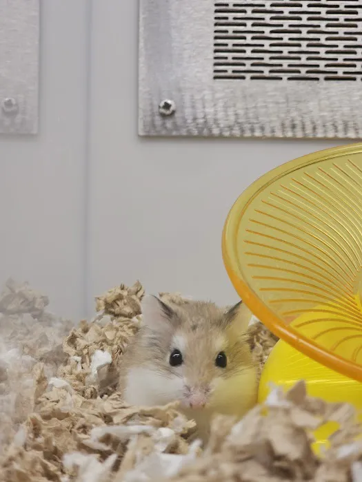 Petco Picture 7