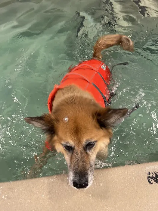 Aquatic Paws Picture 1